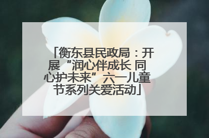 衡东县民政局：开展“润心伴成长 同心护未来”六一儿童节系列关爱活动
